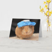 ホッのまわりにピンだ！ カード (黄色い花)