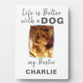 ホッカスタムトペット犬の名前ホワイトグレー フォトプラーク (正面)