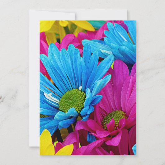 ホッカラフルトピンクティール(緑がかった色)ブルーガーベラデイジーフラワーズ 招待状 (裏面)