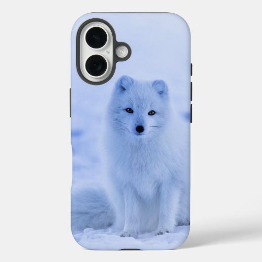 ホッキョクギツネ、アイスランドの写真 Case-Mate iPhoneケース (裏面)