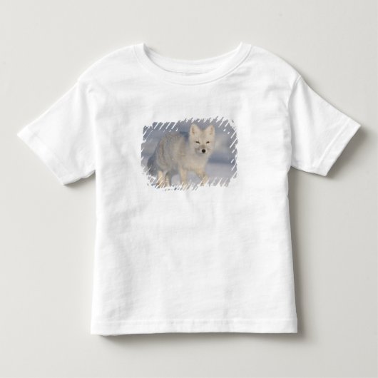 ホッキョクギツネ, アラスカ トドラーTシャツ (正面)