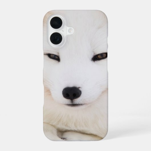 ホッキョクギツネ 白 iPhone 16ケース (裏面)