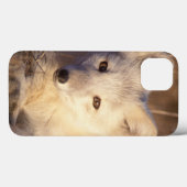 ホッキョクギツネ、Alopexのlagopus、2から変わるコート Case-Mate iPhoneケース (裏面 (横))