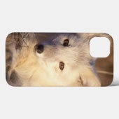 ホッキョクギツネ, Alopex lagopus Case-Mate iPhoneケース (裏面 (横))