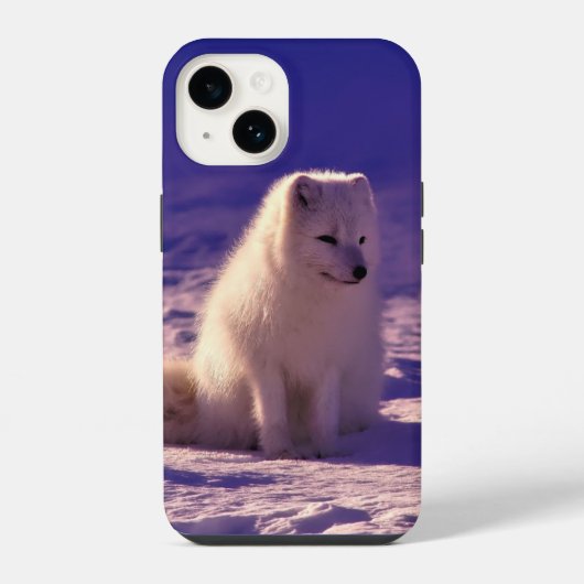 ホッキョクギツネ iPhoneケース (裏面)