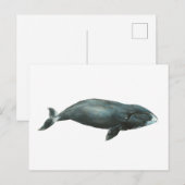 ホッキョククジラの水彩イラスト ポストカード (正面/裏面)