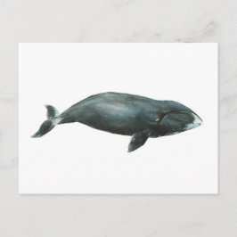ホッキョククジラの水彩イラスト ポストカード