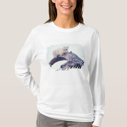 ホッキョクグマがセイウチの顎の骨の上にいる、 Tシャツ (正面)