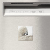 ホッキョクグマが他のクマと戦う マグネット (インサイチュ (食洗機))