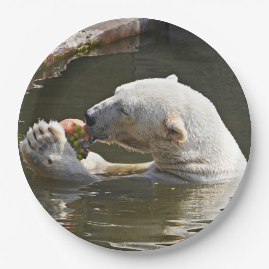 ホッキョクグマが果物を食べる瞬間 ペーパープレート (正面)