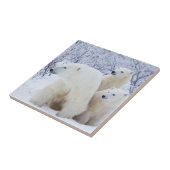 ホッキョクグマと二匹の仔 タイル (側面)