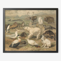 ホッキョクグマと北極圏の動物の友人ヴィンテージ