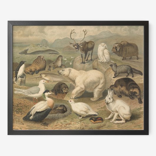 ホッキョクグマと北極圏の動物の友人ヴィンテージ ポスター