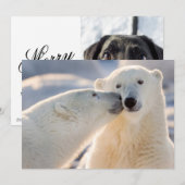 ホッキョクグマのキス シーズンカード (正面/裏面)