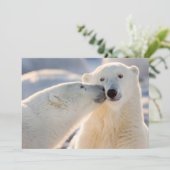 ホッキョクグマのキス シーズンカード (スタンド正面)