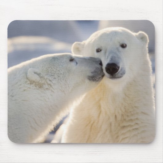 ホッキョクグマのキス マウスパッド (正面)