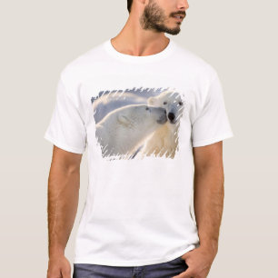 ホッキョクグマのキス Tシャツ
