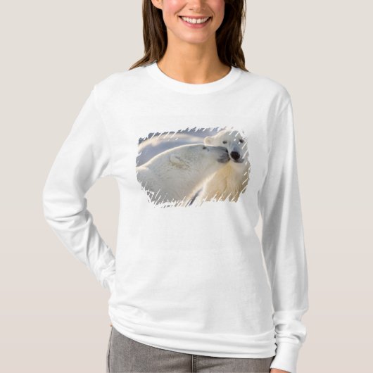 ホッキョクグマのキス Tシャツ (正面)
