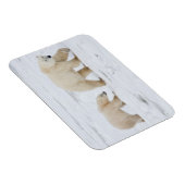 ホッキョクグマのメスと二匹の子2 マグネット (右側)