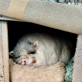 ホッキョクグマの両側 コーヒーマグカップ