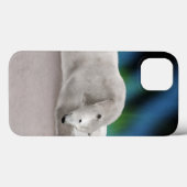ホッキョクグマの休息 Case-Mate iPhoneケース (裏面 (横))