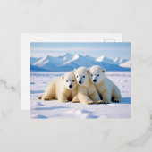 ホッキョクグマの動物自然野生動物の気に愛情 箔シーズンポストカード (正面/裏面)