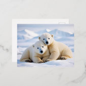 ホッキョクグマの動物自然野生動物の気に愛情 箔シーズンポストカード (正面/裏面)