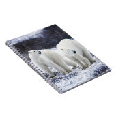 ホッキョクグマの愛 ノートブック (右側)