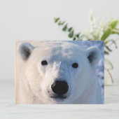 ホッキョクグマの招待状 招待状 (スタンド正面)