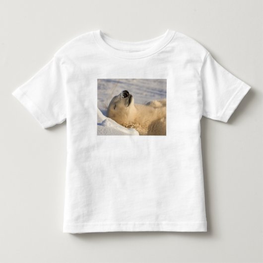 ホッキョクグマの昼寝 トドラーTシャツ (正面)