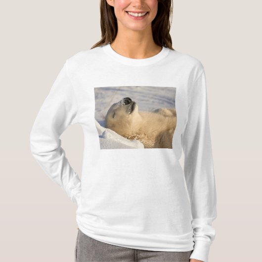 ホッキョクグマの昼寝 Tシャツ (正面)