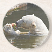 ホッキョクグマの果物食べる研究 コースター (正面)