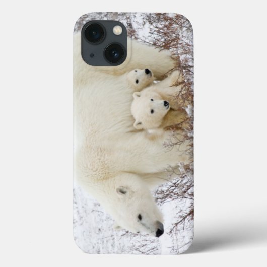 ホッキョクグマの母グマと2頭の子グマ Case-Mate iPhoneケース (裏面)