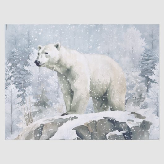 ホッキョクグマの水彩画 薄葉紙 (正面)