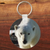 ホッキョクグマの目を覗き込む キーホルダー (正面)