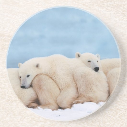 ホッキョクグマの石コースター コースター (正面)