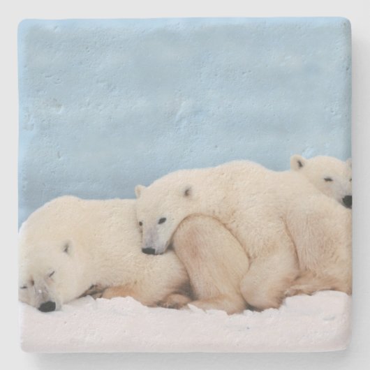 ホッキョクグマの石コースター ストーンコースター (正面)