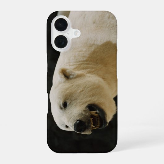 ホッキョクグマの笑顔 iPhone 16ケース (裏面)