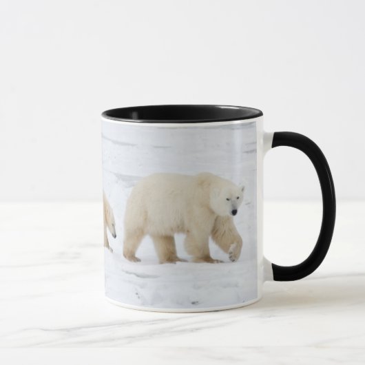 ホッキョクグマの親子 マグカップ (右)