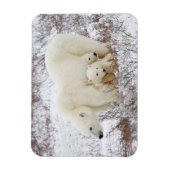 ホッキョクグマの親子 マグネット (縦)