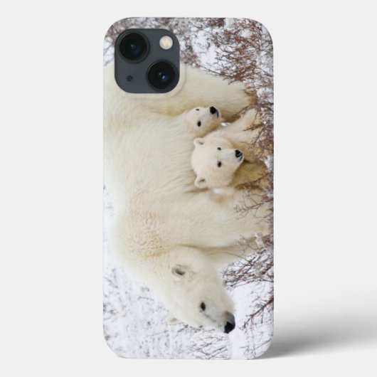 ホッキョクグマの親子 Case-Mate iPhoneケース (裏面)
