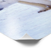 ホッキョクグマは子牛で播種する フォトプリント            (角)