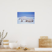 ホッキョクグマは子牛で播種する ポスター (キッチン)