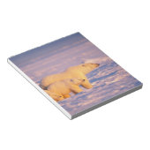 ホッキョクグマは春の子を産む凍ってい ノートパッド (アングル)