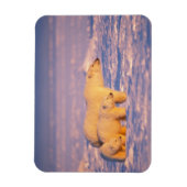 ホッキョクグマは春の子を産む凍ってい マグネット (縦)