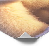 ホッキョクグマは、パック氷の上にカブと播種 ポスター (角)