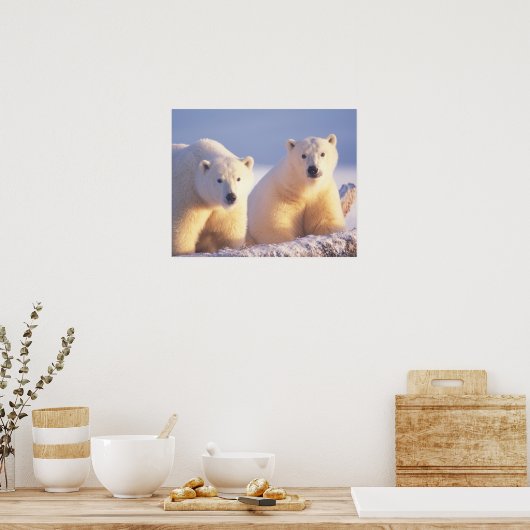 ホッキョクグマは、パック氷の上にカブと播種 ポスター (キッチン)