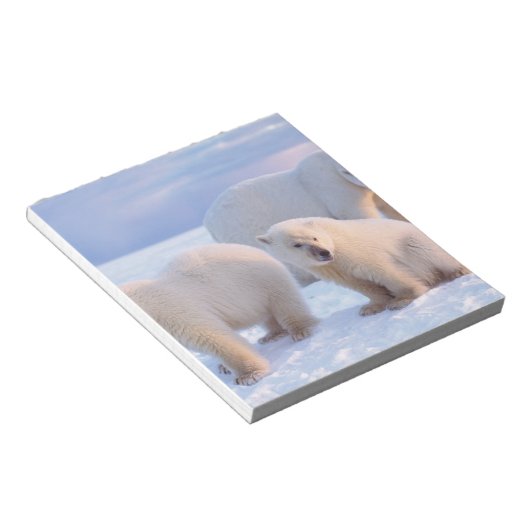 ホッキョクグマは、沿岸のパックアイスに子牛を播種 ノートパッド (アングル)