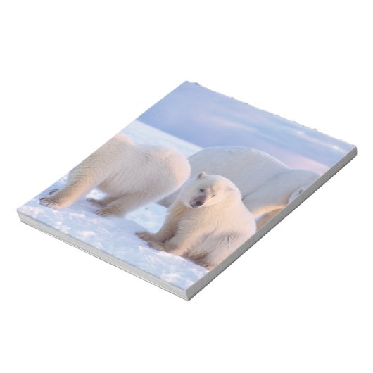 ホッキョクグマは、沿岸のパックアイスに子牛を播種 ノートパッド (回転)