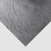 ホッキョクグマティッシュペーパー 薄葉紙 (詳細)